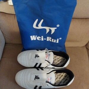 Mens Wei Rui martial art shoes